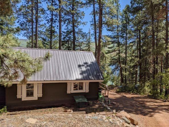 Nellie May Cabin On Vallecito Lake Villa Exterior photo