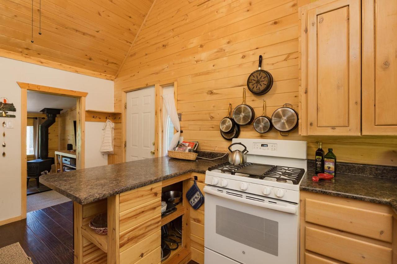 Nellie May Cabin On Vallecito Lake Villa Exterior photo