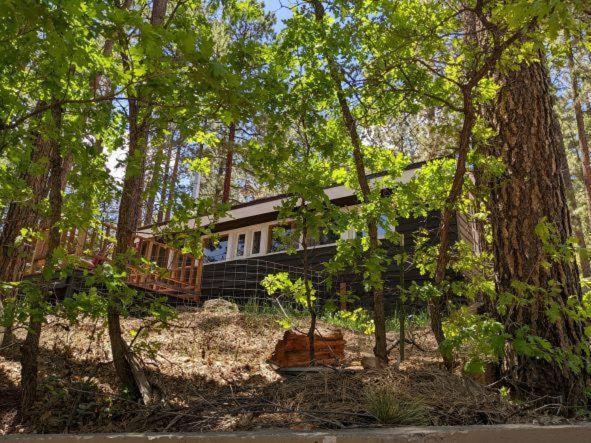 Nellie May Cabin On Vallecito Lake Villa Exterior photo