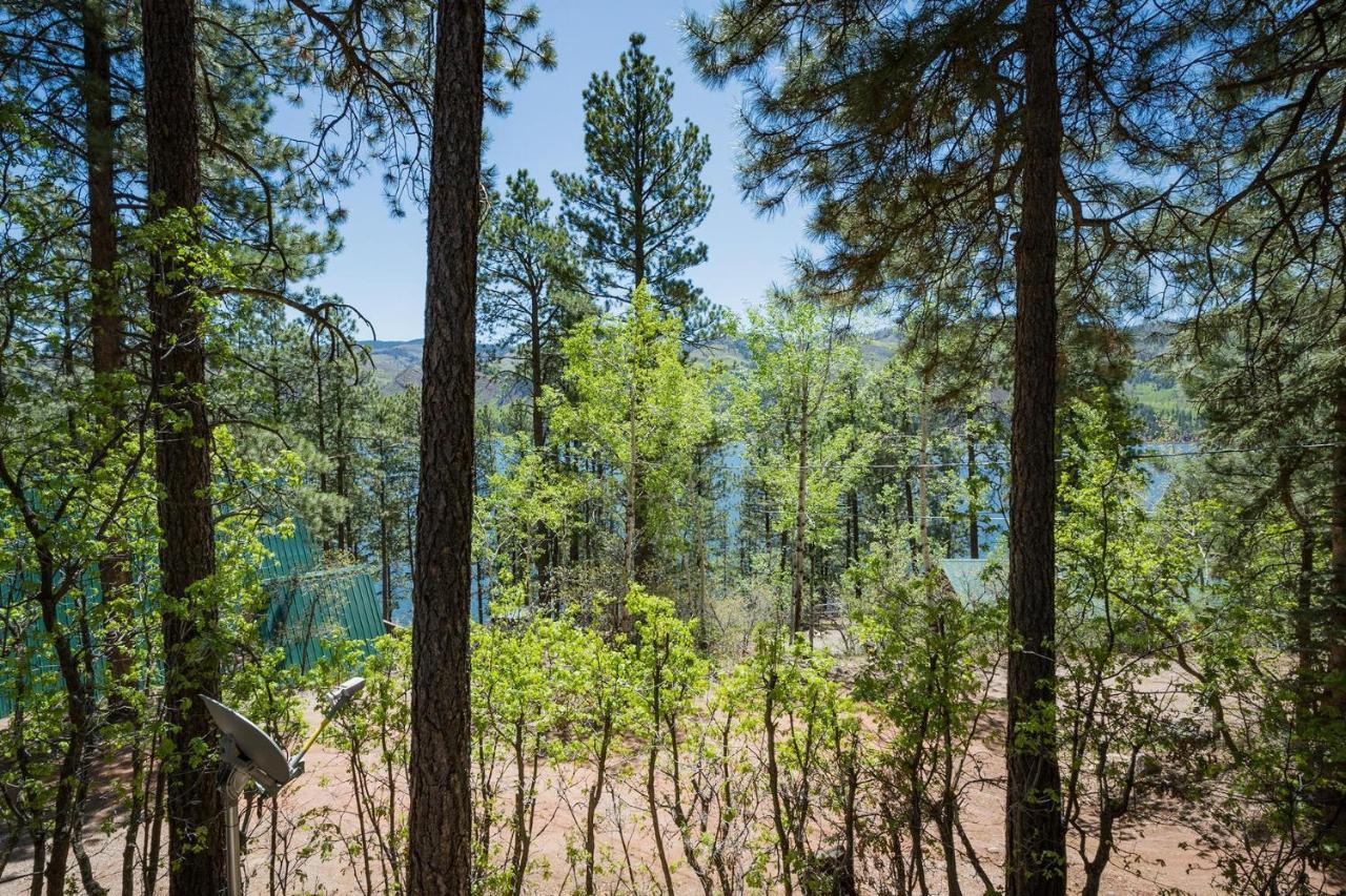 Nellie May Cabin On Vallecito Lake Villa Exterior photo