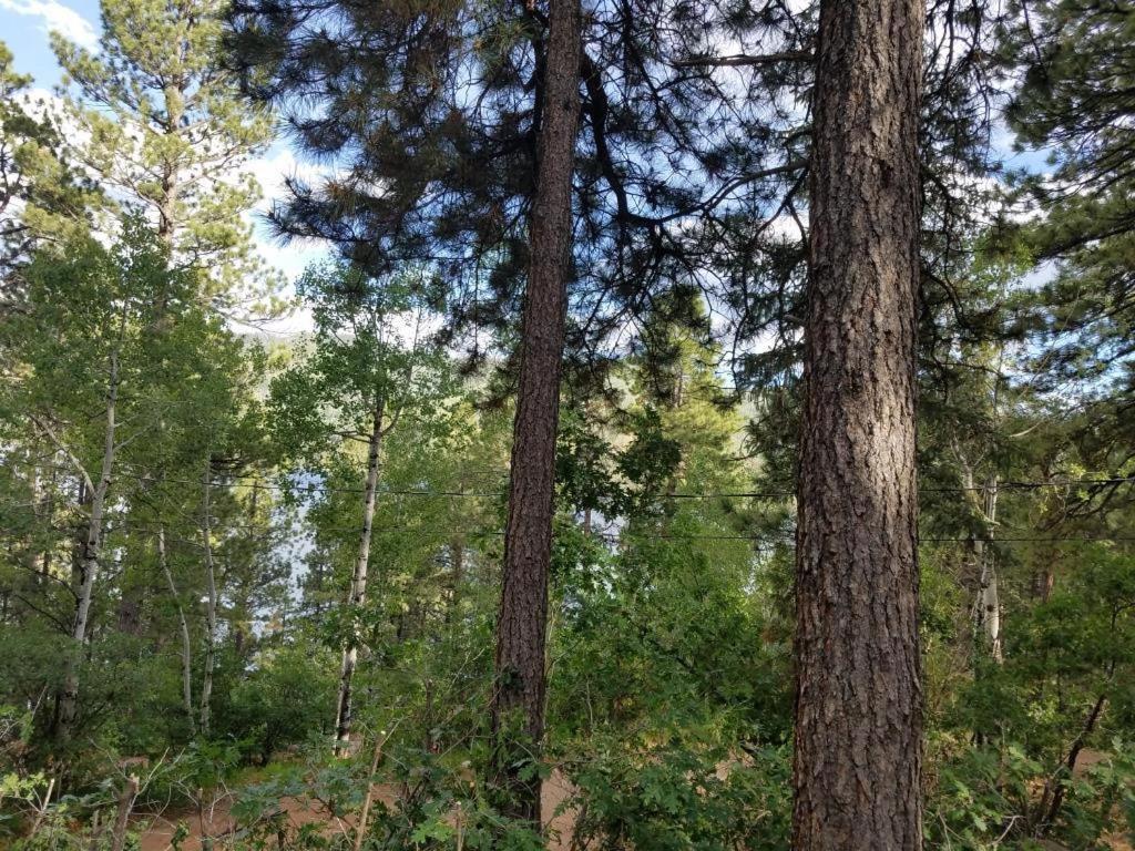 Nellie May Cabin On Vallecito Lake Villa Exterior photo