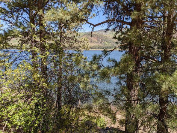 Nellie May Cabin On Vallecito Lake Villa Exterior photo